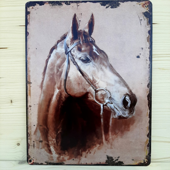 Plaque métal tête filet