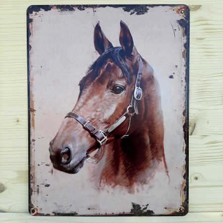 Plaque en métal tête avec licol