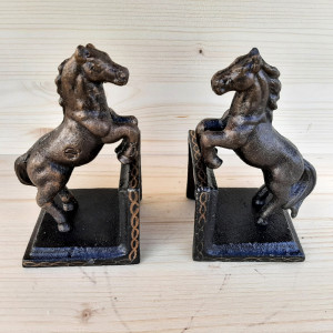 Serre livre en fonte 2