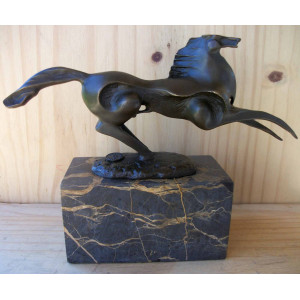 Petit cheval moderne 