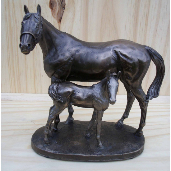 Jument et poulain debout 