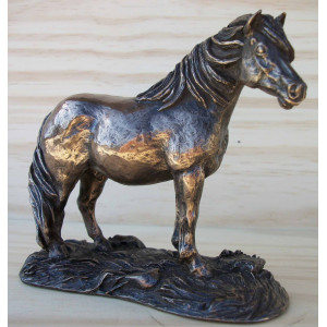 Poney shetland signé 