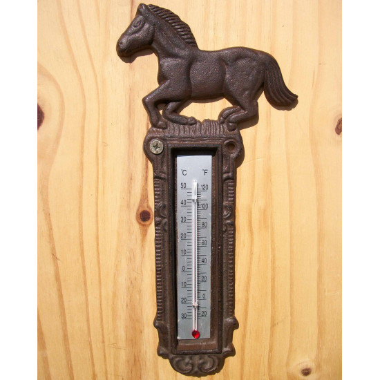 Thermomètre en fonte 