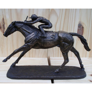 Jockey sur son cheval au galop 