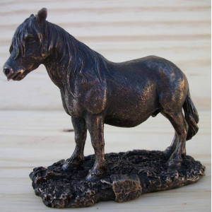 Poney shetland 