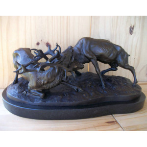 Combat de deux gros cerfs 