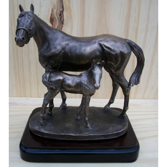 Jument et poulain debout 