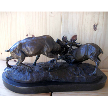 Combat de deux gros cerfs 