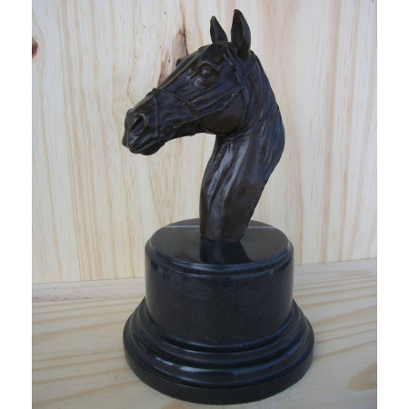 Tête de cheval 