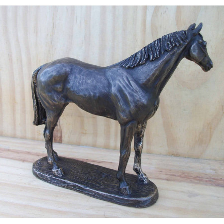 Le cheval ASCOT ANDY 