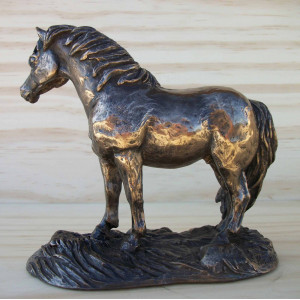Poney shetland signé  2