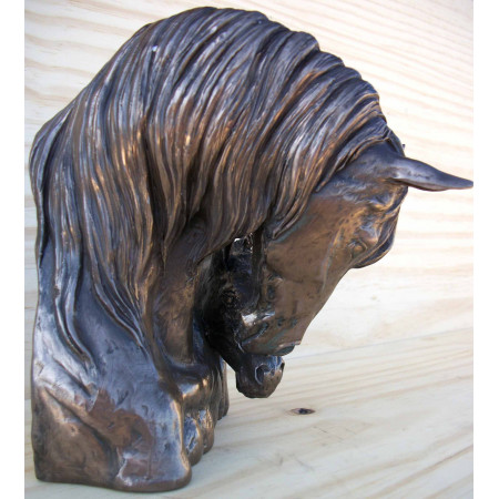 Tête jument et son poulain 