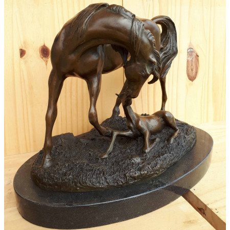 Poulinière arabe et son poulain 