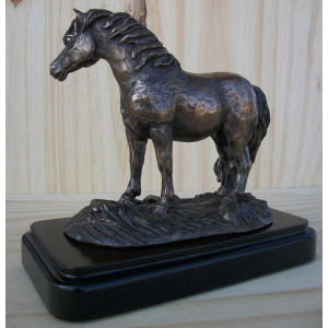 Poney shetland signé  2