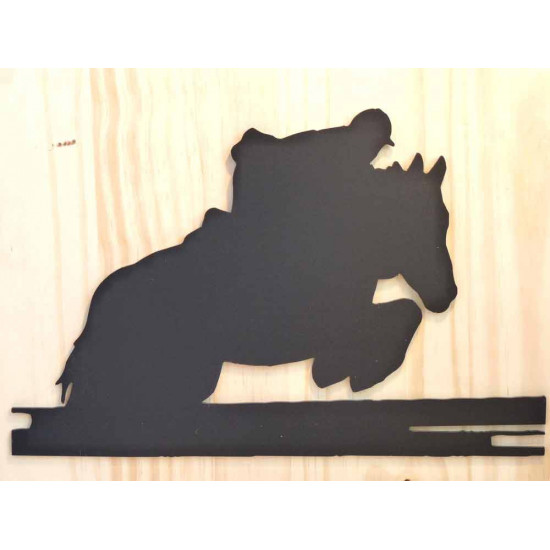 Jumping,Saut d'obstacle 